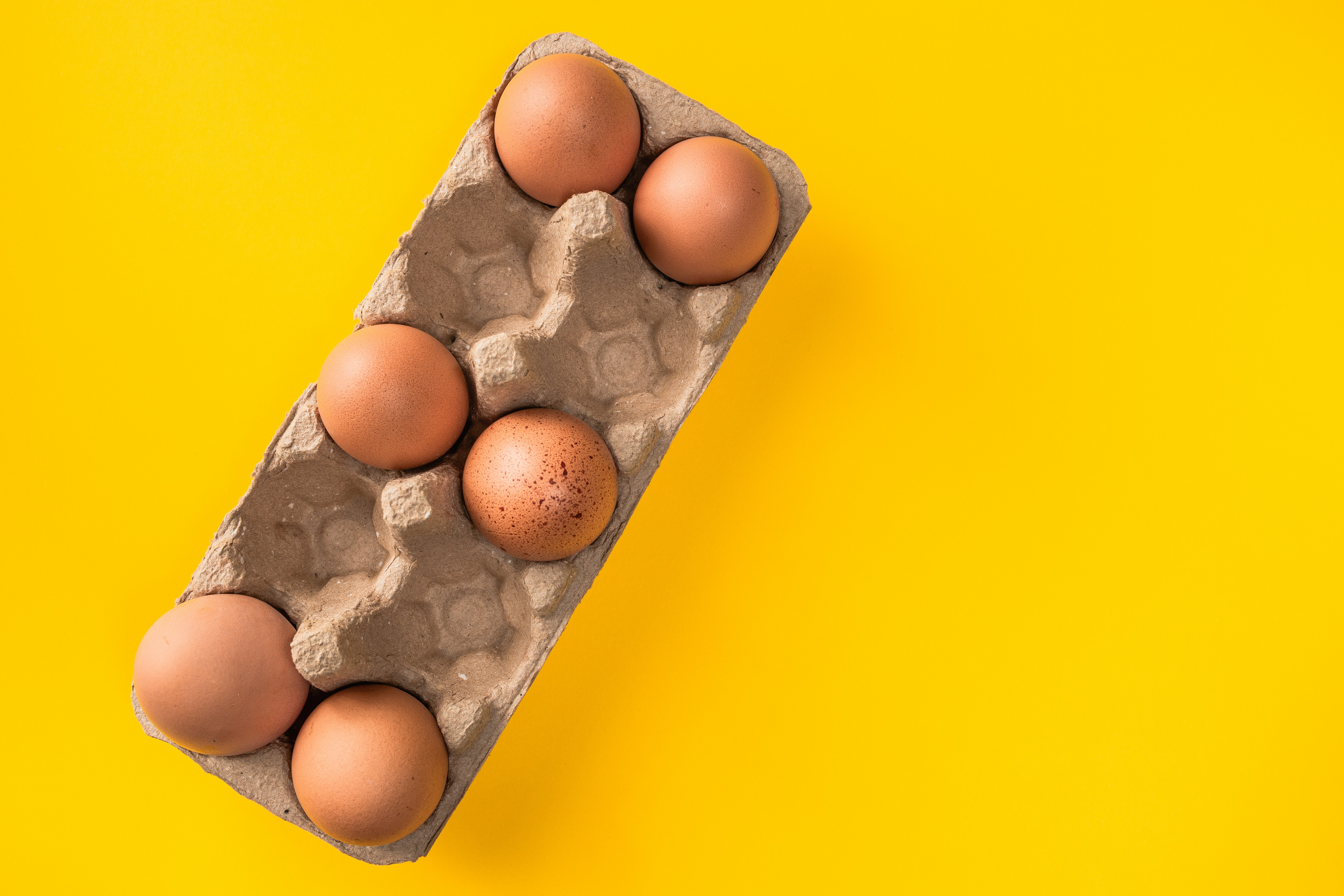 brown egg on gray egg tray